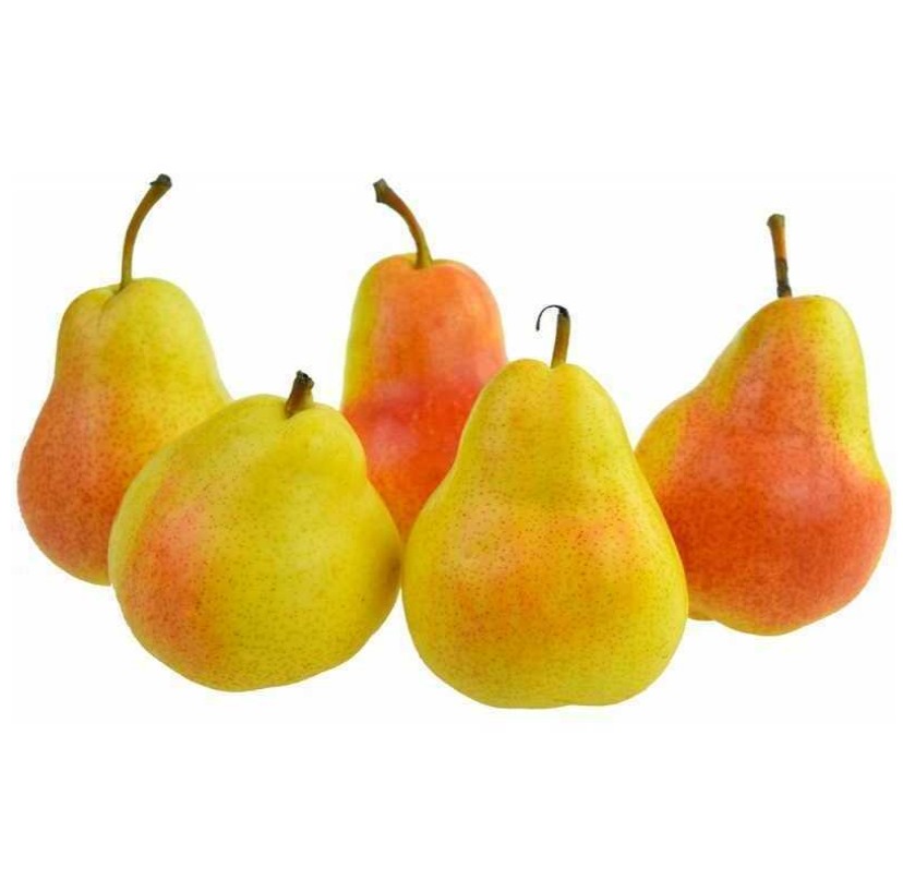 Pear 6. Груша 5а5 Голден мит. 5 Груш. Груши 10 штук. Груша 6 шт.